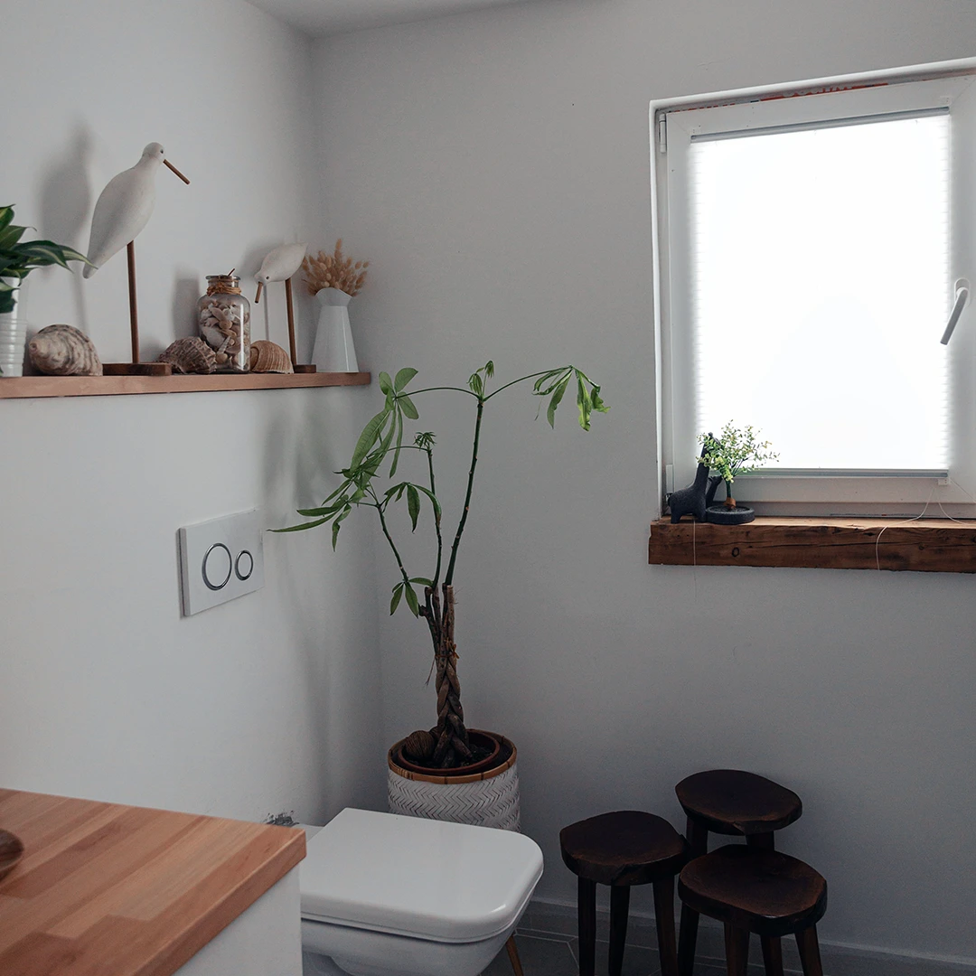 Frosted Film Window In Small Bathroom.